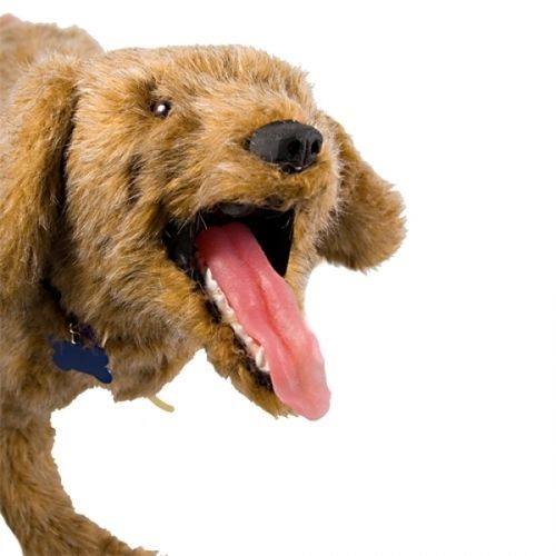 Manichino didattico veterinario - Jerry - Rescue Critters - per gestione delle vie aeree / cane