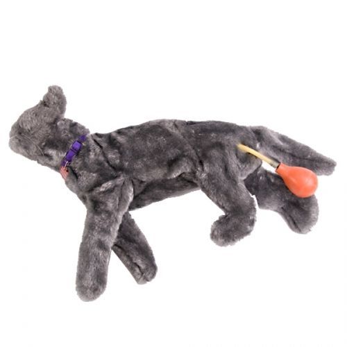 Manichino didattico veterinario - FLUFFY  - Rescue Critters - per RCP / per bendaggio / di felino