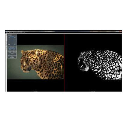 Software medico - MiPis  - Microptik BV - per microscopi digitali / di analisi