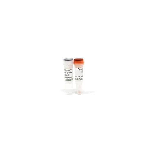 Reagente enzima - Zymolyase - Zymo Research - per purificazione di proteine / per immunofluorescenza / liofilizzato