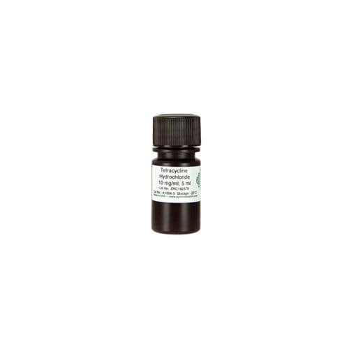 Reagente in soluzione - A1004 series - Zymo Research - per reazione di amplificazione / dell'Escherichia coli