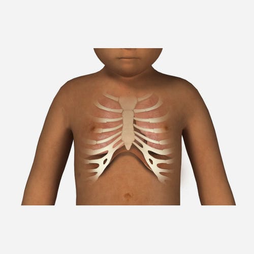 Modulo di simulazione per auscultazione - SIMTICS - di segnali vitali / per cure pediatriche / pediatrico