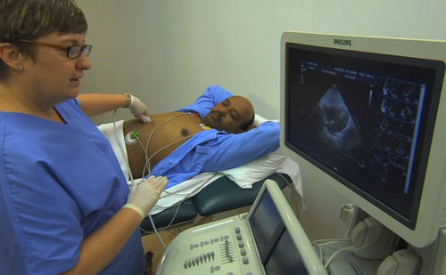 Modulo di simulazione per ecocardiografia - Basic  - SIMTICS - di anatomia / basato sul web