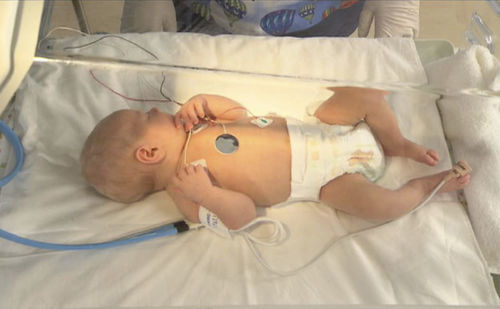 Modulo di simulazione per ecografia - SIMTICS - di anatomia / per cure pediatriche / pediatrico