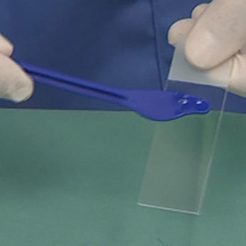 Modulo di simulazione di palpazione mammaria - SIMTICS - di anatomia / basato sul web