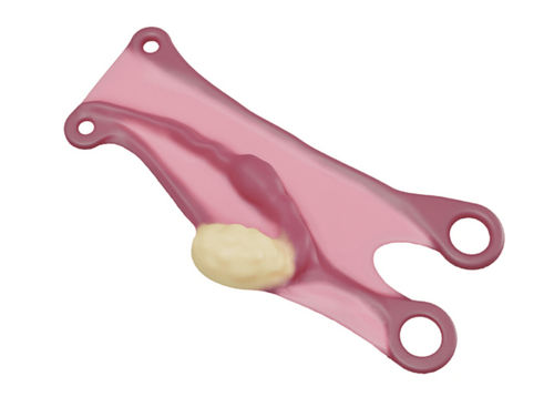 Modello anatomico di trombe di Falloppio - IN0GABL-1-1 - MEDICAL-X - didattico / di gravidanza
