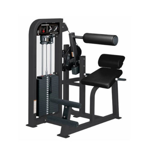Stazione per esercizi muscolari estensione del dorso - HAMMER STRENGTH - Life Fitness