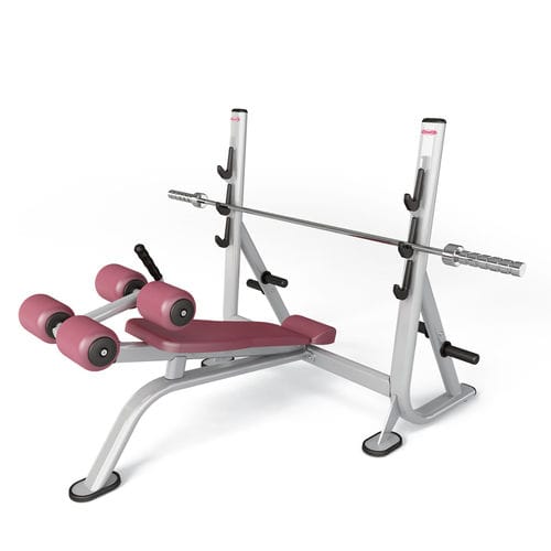 Panca per esercizi muscolari invertita - FIT EVO 1fe206 - Panatta - con rastrelliera per bilancieri