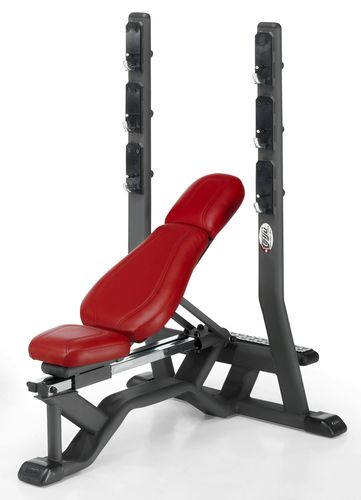 Panca per esercizi muscolari regolabile - 4SHO078/0 - Telju Fitness - con rastrelliera per bilancieri