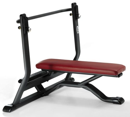 Panca per esercizi muscolari piatta - 4SHO073/0 - Telju Fitness - con rastrelliera per bilancieri