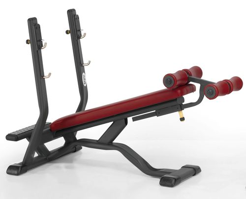 Panca per esercizi muscolari invertita - 4SHO072/0 - Telju Fitness - con rastrelliera per bilancieri