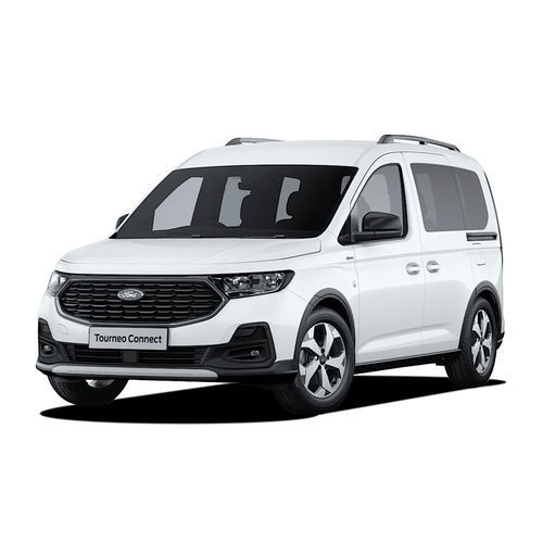 Veicolo per disabili monospazio - Ford Tourneo - Olmedo Special Vehicles - entrata posteriore