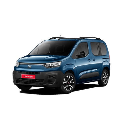 Veicolo per disabili monospazio - Fiat Doblò  - Olmedo Special Vehicles - entrata posteriore