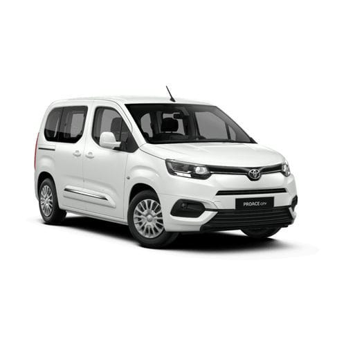 Veicolo per disabili monospazio - Toyota Proace - Olmedo Special Vehicles - entrata posteriore