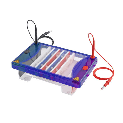 Sistema di elettroforesi da banco - ConcertoGEL  - Hercuvan - orizzontale