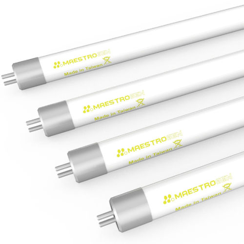 Lampada UV - T5 series - Maestrogen - di illuminazione / da laboratorio