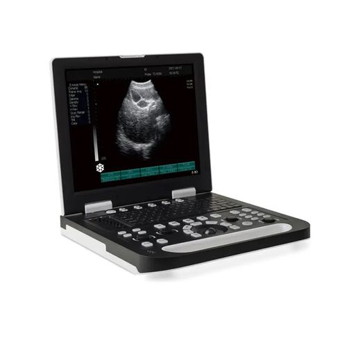 Ecografo portatile - DP-50 Plus - Promed Technology - per ecografia multidisciplinare / per ecografia ginecologica ed ostetrica / per ecografia addomino-pelvica