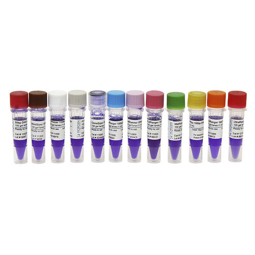 Reagente marcatore del peso molecolare - 11900 - Norgen Biotek - da ricerca / da laboratorio
