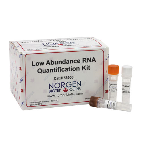 Kit di reagenti per quantificazione di RNA - 58900 - Norgen Biotek - in soluzione / per PCR real-time / liquido