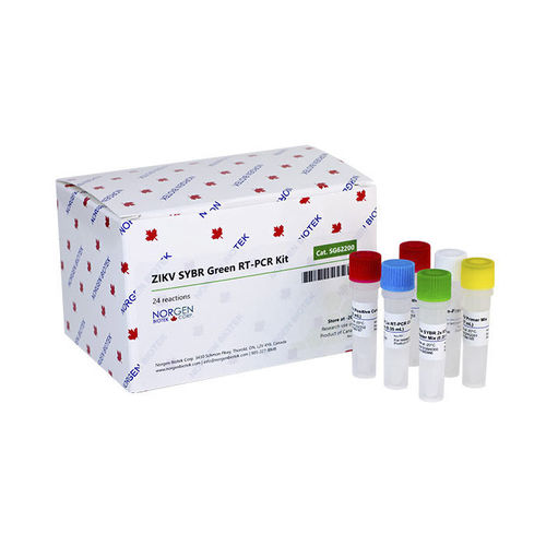 Kit di test del Neisseria gonorrhea - TM309 series - Norgen Biotek - da ricerca / per malattie infettive / virale