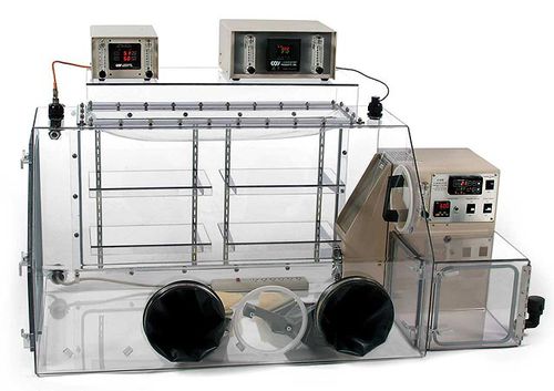 Glove box da laboratorio - CoyLab - per sperimentazione animale / per coltura di tessuti / modulare