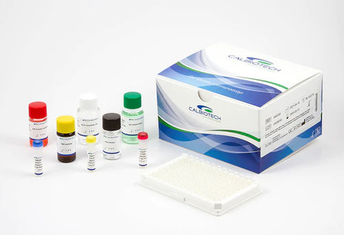 Kit di reagenti CMV - CM027G - Calbiotech - in soluzione / da ricerca / d'IgG