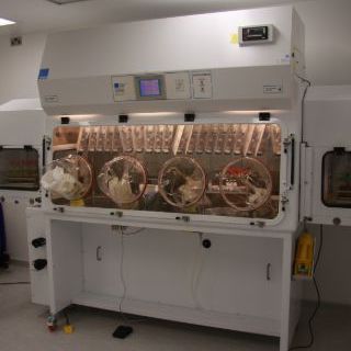 Isolatore per test di sterilità - Envair - classe III / per l'industria farmaceutica / di campionamento