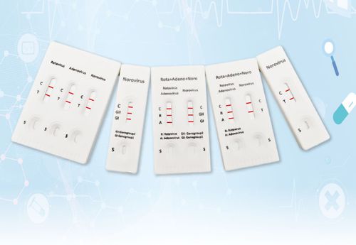 Test rapido per malattie gastrointestinali - INRV-C61 - Hangzhou Biotest Biotech Co. Ltd. - per genotipizzazione / del norovirus / del rotavirus