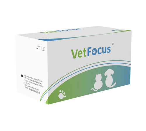 Test rapido per gatti - VFCV-C91 - Hangzhou Biotest Biotech Co. Ltd. - per felini / virale / del calicivirus felino