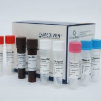 Kit di test della febbre dengue - GenoAmp® GRA2010 - Medical Innovation Ventures - del virus Zika / della chikungunya / di siero