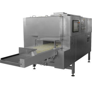 Tunnel di depirogenazione - 401 - Bausch Advanced Technologies - per strutture sanitarie / di sterilizzazione / per l'industria farmaceutica