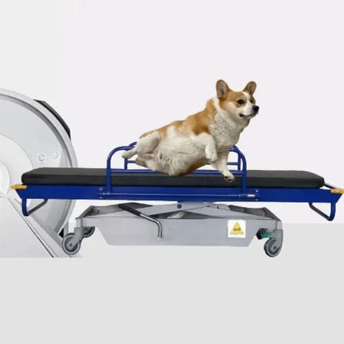 Barella con carrello per MRI - HO-709-2 - Hongkong Medi - idraulica / ad altezza regolabile / veterinaria