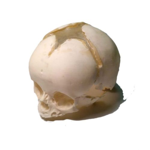 Phantom di calibrazione per ecografia - Pure Imaging Phantoms - per MRI / di cranio / pediatrico