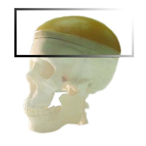 Phantom di calibrazione per ecografia - Pure Imaging Phantoms - per MRI / mandibola