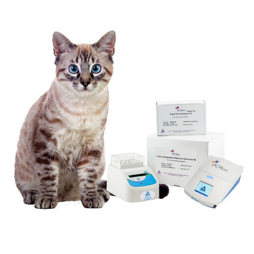 Kit di test veterinario - PCRun® - Biogal – Galed Laboratories - per animali / a flusso laterale / molecolare