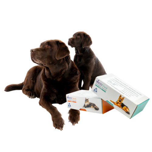Kit di test veterinario - VacciCheck - Biogal – Galed Laboratories - per cani / per gatti / per anticorpi