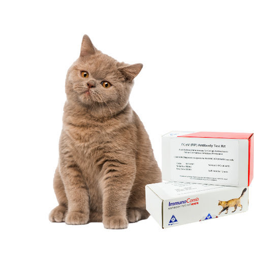 Kit di test per malattie infettive - ImmunoComb - Biogal – Galed Laboratories - veterinario / di immunità / per animali