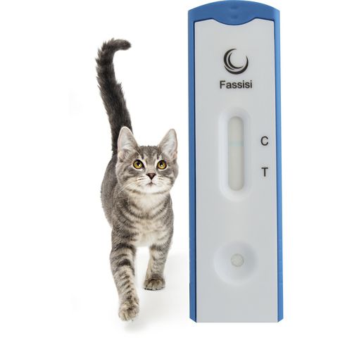 Test rapido dell'AIDS - FIV - Fassisi, Gesellschaft für Veterinärdiagnostik und Umweltanalysen mbH - per gatti / dell'HIV / FIV