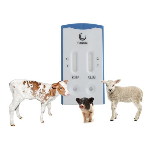 Test rapido della diarrea - PiDia light - Fassisi, Gesellschaft für Veterinärdiagnostik und Umweltanalysen mbH - per malattie infettive / per suinetti / per caprini
