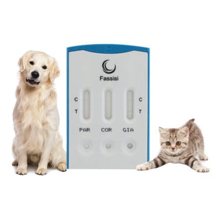 Test rapido per malattie infettive - TRIPLE - Fassisi, Gesellschaft für Veterinärdiagnostik und Umweltanalysen mbH - per gatti / per cani / virale