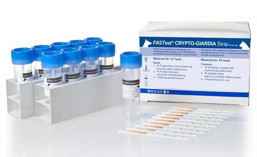 Test rapido della giardiasi - FASTest® CRYPTO-GIARDIA - MEGACOR Diagnostik - veterinario / di Cryptosporidium / di feci