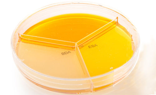 Reagente per laboratorio veterinario - MYKODERMOASSAY TRIO - MEGACOR Diagnostik - gel di agar / microbiologico / per coltura cellulare
