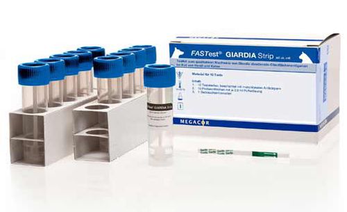 Test rapido della giardiasi - FASTest® - MEGACOR Diagnostik - per antigeni / di feci / immunocromatografico