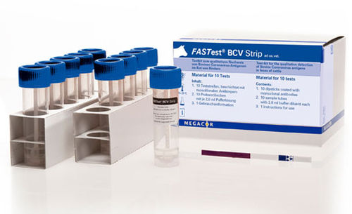 Test rapido per malattie gastrointestinali - FASTest® BCV - MEGACOR Diagnostik - per bovini / del coronavirus / di feci