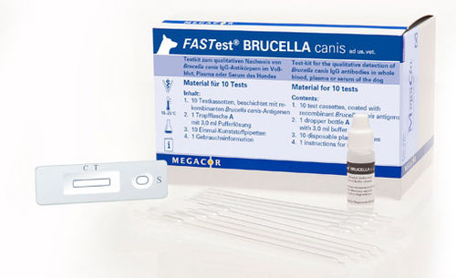 Test rapido della brucellosi - FASTest® BRUCELLA - MEGACOR Diagnostik - per cani / per anticorpi / della Brucella