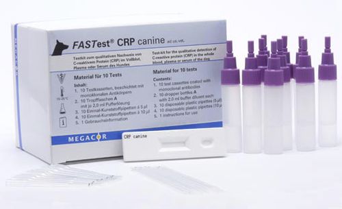 Test rapido per malattie infiammatorie - FASTest® CRP - MEGACOR Diagnostik - per cani / di CRP / di siero