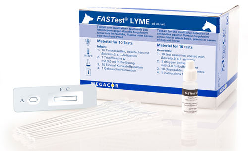 Test rapido della malattia di Lyme - FASTest® LYME - MEGACOR Diagnostik - per cani / per cavalli / d'IgG