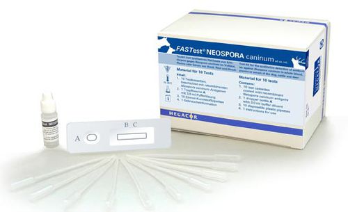 Test rapido di Neospora caninum - FASTest® NEOSPORA - MEGACOR Diagnostik - per malattie infettive / veterinario / di siero