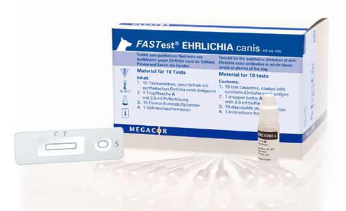 Test rapido dell'ehrlichiosi - FASTest® EHRLICHIA canis - MEGACOR Diagnostik - per cani / per anticorpi / dell'Ehrlichia