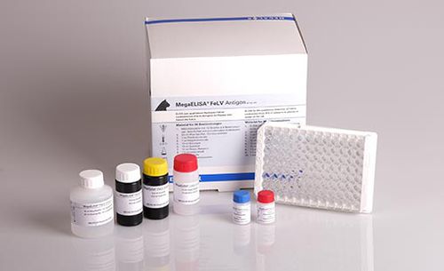 Kit di test della leucosi felina - MegaELISA®  - MEGACOR Diagnostik - per animali / per antigeni / FeLV